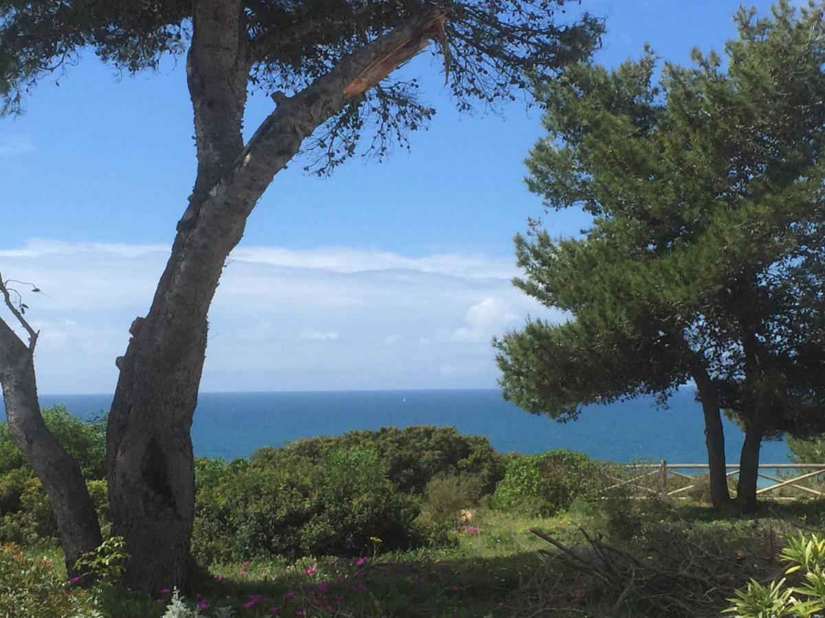 Carvoeiro Sol Seafront Διαμέρισμα Εξωτερικό φωτογραφία